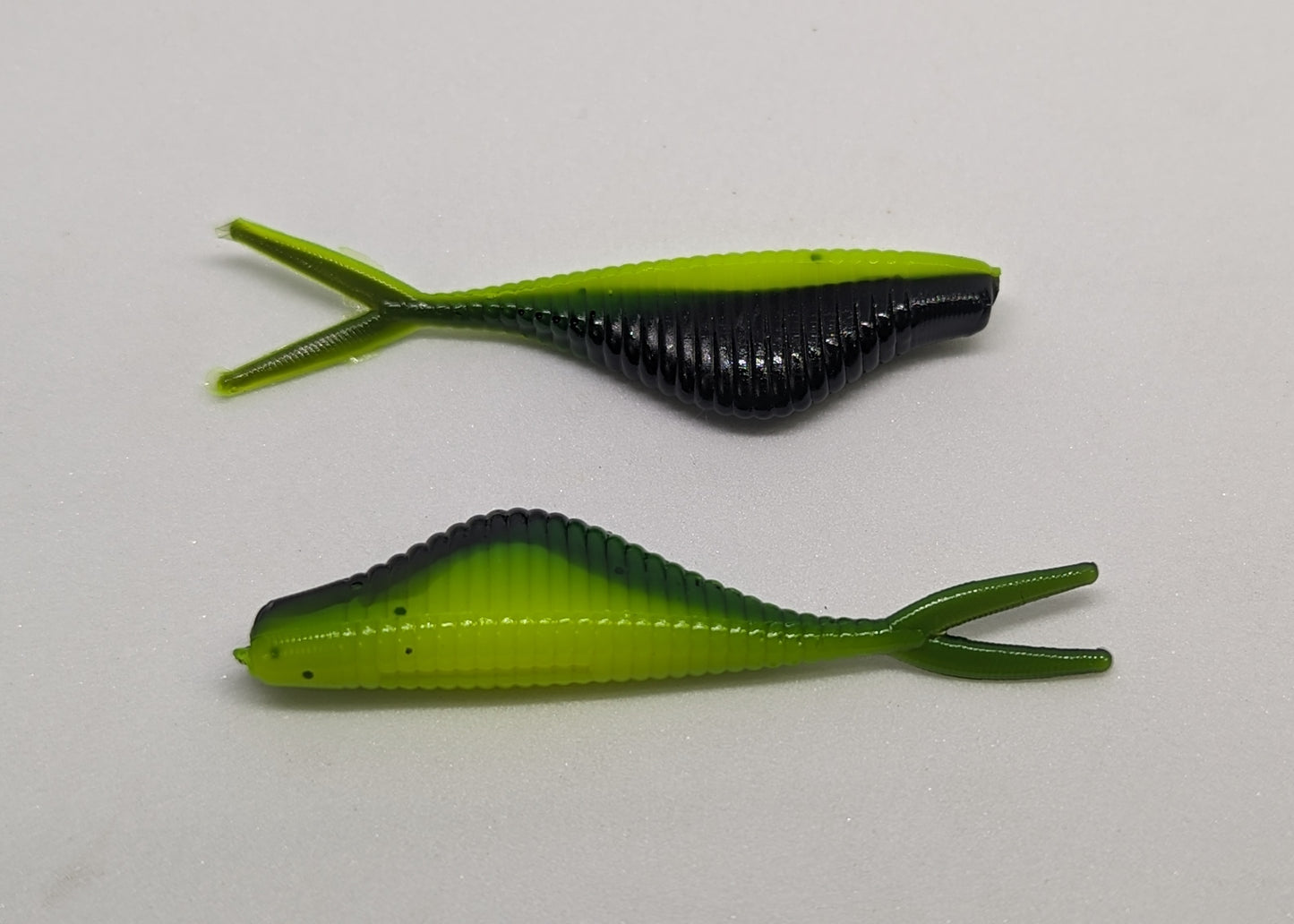 Chubby Shad