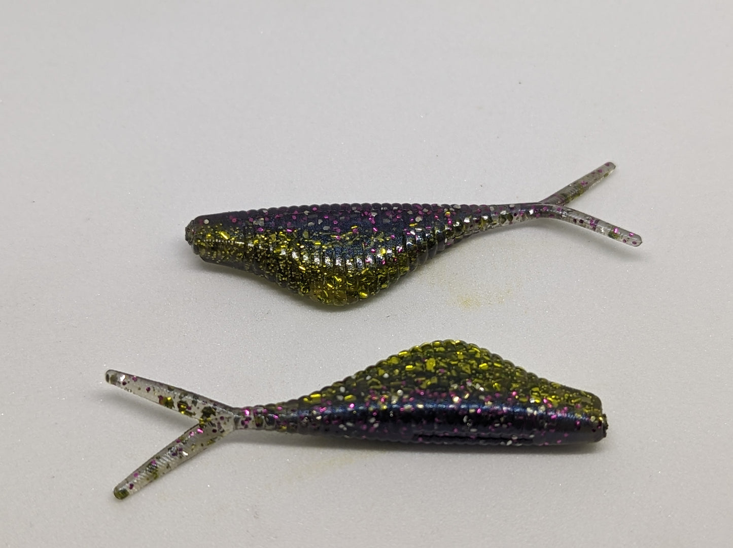 Chubby Shad