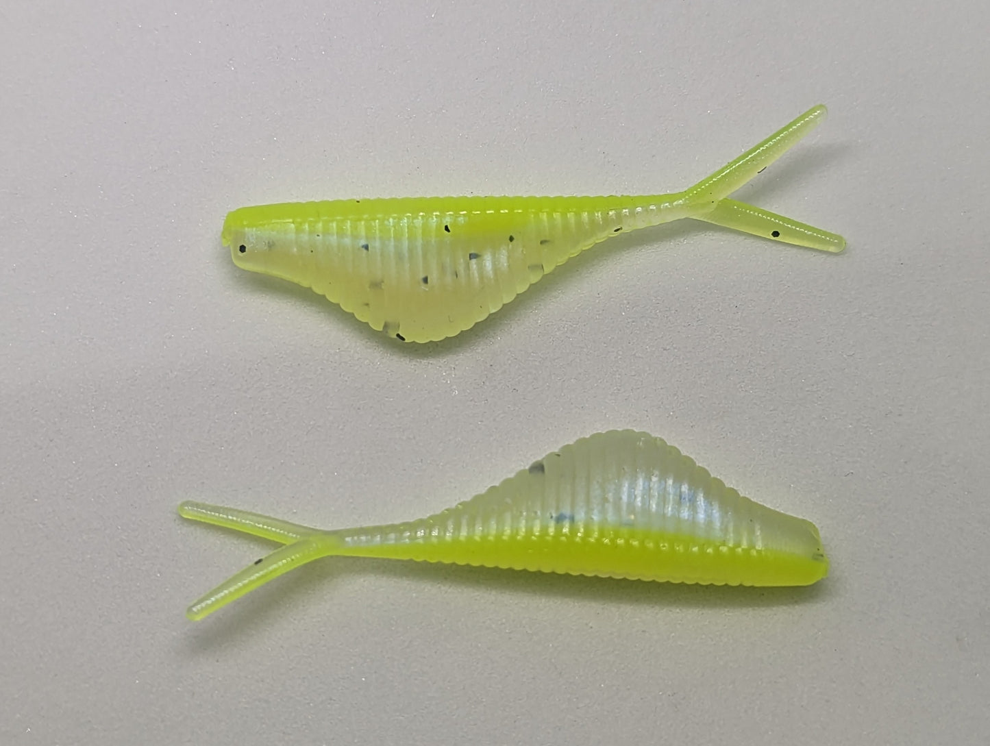 Chubby Shad