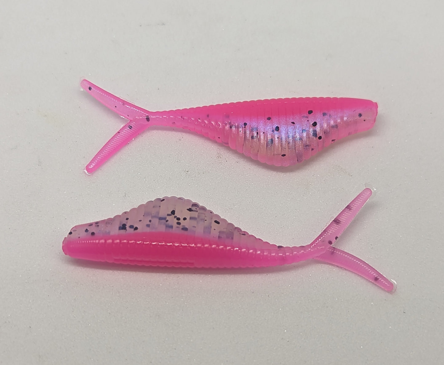 Chubby Shad