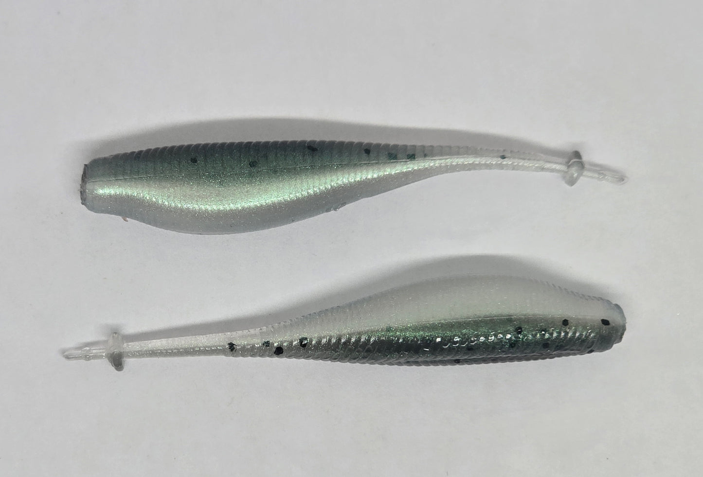 Sonar Shad