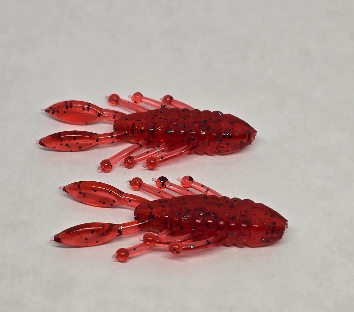 Perch Bug