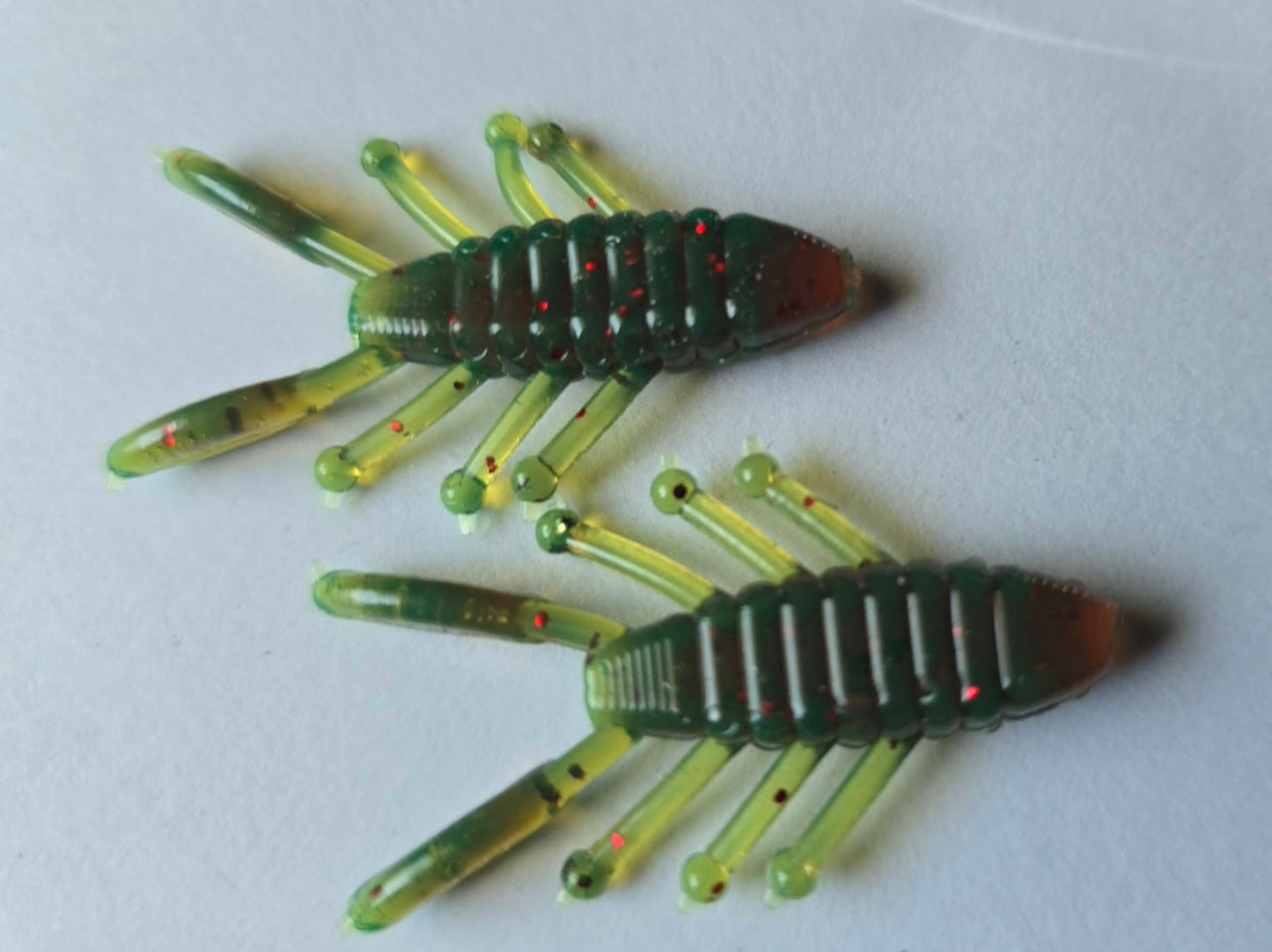 Perch Bug