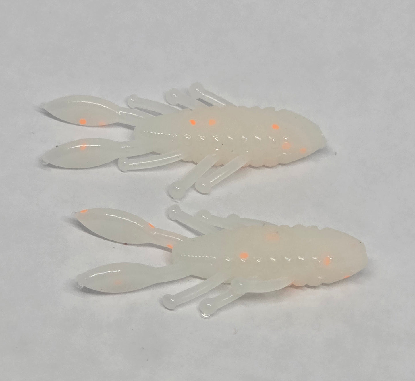 Perch Bug