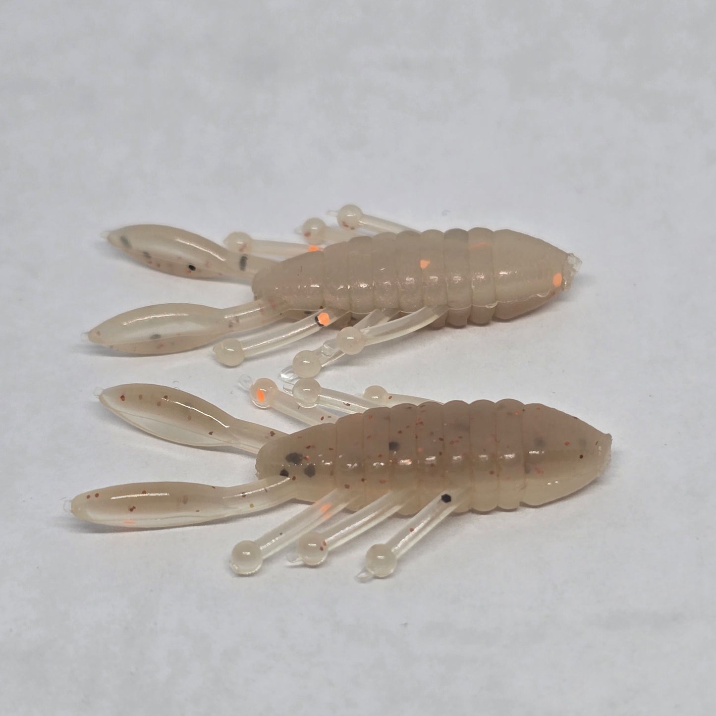 Perch Bug